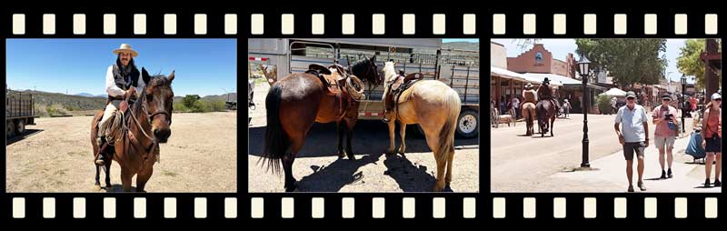 Trail Rides in Tombstone AZ